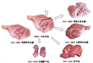 豬肉副產(chǎn)品的高值化利用 食品生產(chǎn)技術與產(chǎn)業(yè)發(fā)展路徑