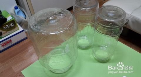 葡萄酒釀造工藝全解析 從葡萄到美酒的完美蛻變